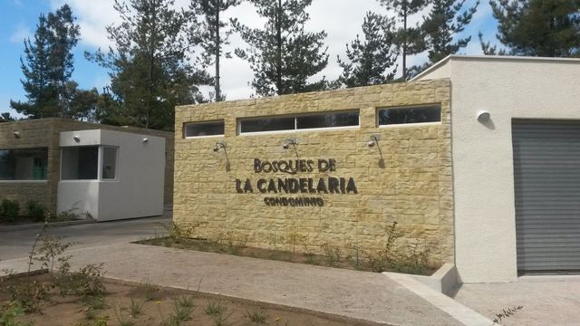Letras corpóreas